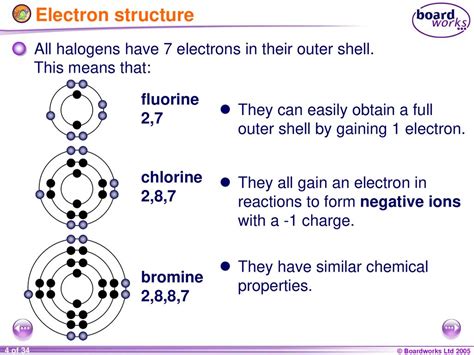 how many electrons do halogens have